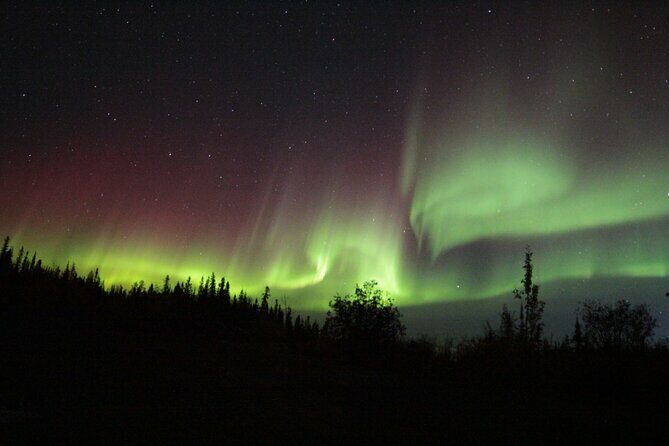 Yellowknife Aurora Hunting Tours by Bus - How the Experience Feels