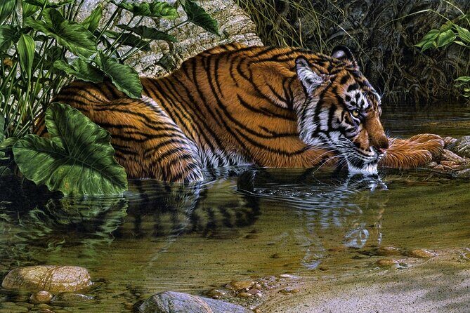 03 Days Private Wildlife Ranthambore Tiger Tour from Jaipur - Day 2: The Safari Experience