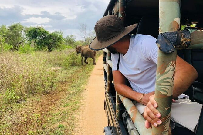 04 Hours Safari Jeep Tours - FAQ