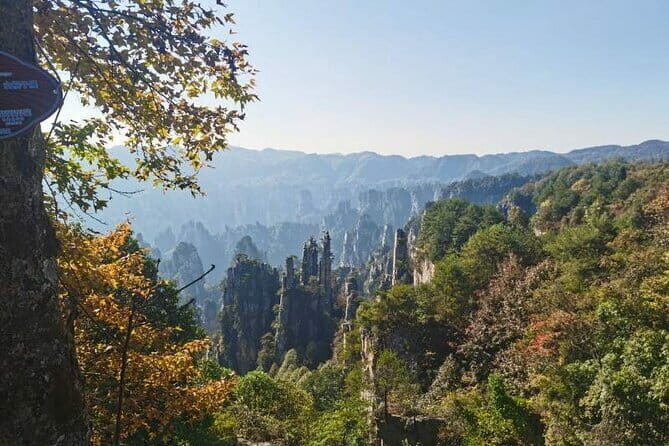 1 Day Avatar Mountain & Fores Park Group Tour with VIP Access - A Detailed Walkthrough of the Itinerary