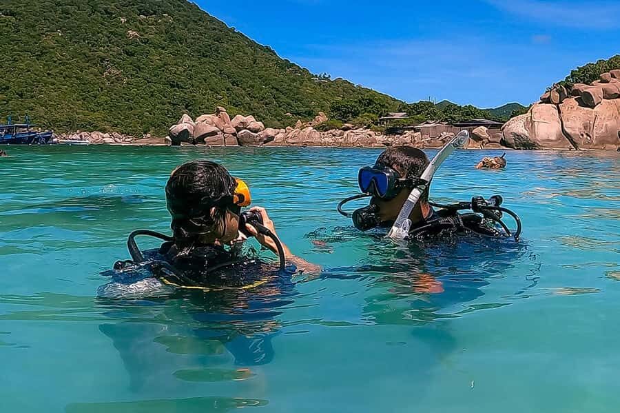 1-Day Discover Scuba Diving for Beginners in Koh Tao - What You Can Expect from the Tour