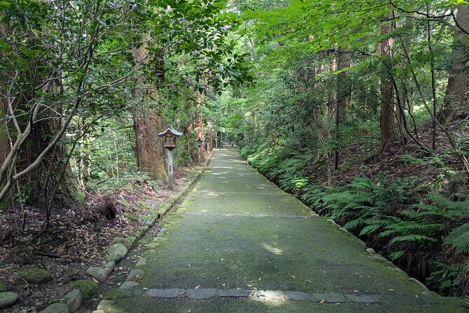 1 Day Tour from Kanazawa Tedori Gorge White Road and Shirakawa Go - What the Experience Offers