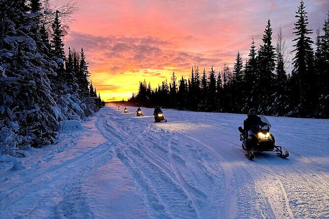 1 Hour Double Rider Snowmobile - Authentic Experiences and Guest Reviews