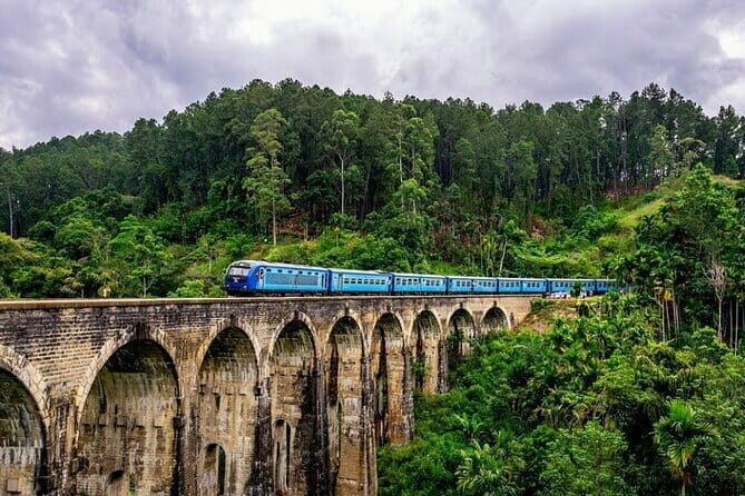 10 Days/ 9 Nights - Heritage Wildlife and Waves in Sri Lanka - Who Is This Tour Best For?