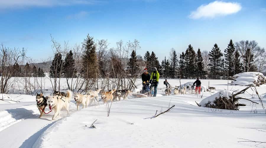 15 min. Tadoussac : Dog Sled Excursion in Saguenay Fjord - Authenticity, Value, and the Overall Experience