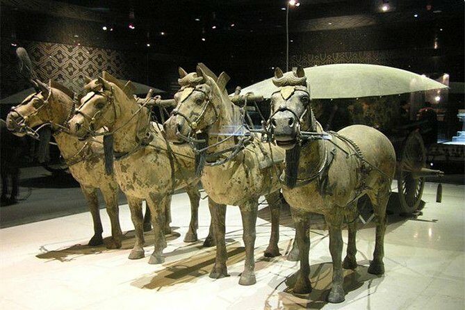 2-Day Highlights Xi'an Private Tour Combo Package: Terracotta Warriors and City Sightseeing - What Travelers Are Saying