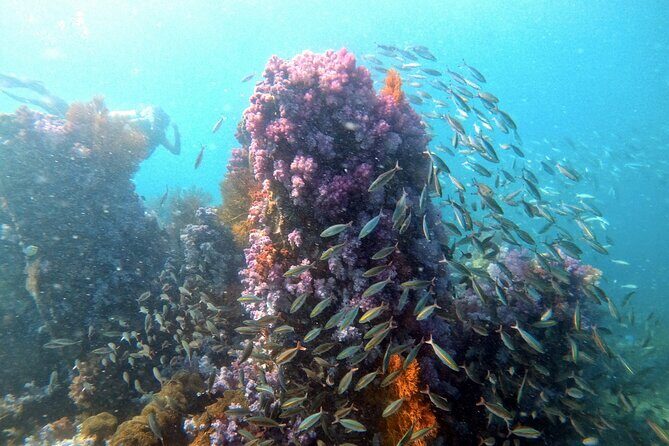 2 Fun Divers for Certified Divers in Thailand - About the Dive Center: Who Are They?