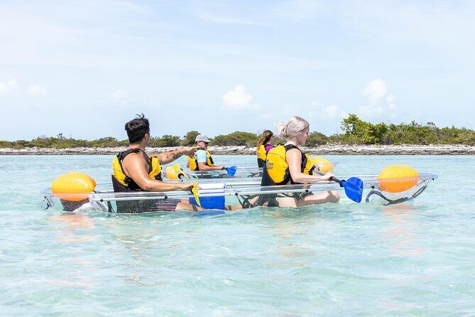 2 Hours Clear Kayaking Activity on Mangrove Cay - Who Will Love This Tour?