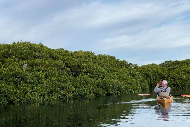 2 Hours of Kayak Safari in Bahía de La Paz - Frequently Asked Questions