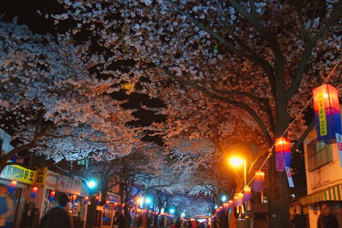 2026 Cherry Blossom East Day Tour in Jeju with UNESCO - Who Will Love This Tour?