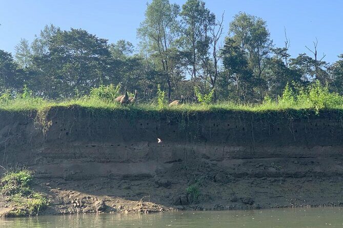3-Day Chitwan Jungle Safari from Kathmandu  All-Inclusive Tour - Overview of the Experience