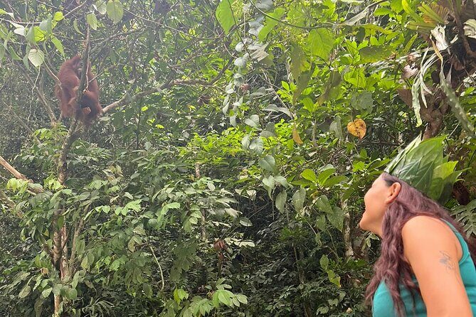 3 Days Orangutan Sumatra Jungle Trekking with Rafting - A Closer Look at the Practicalities