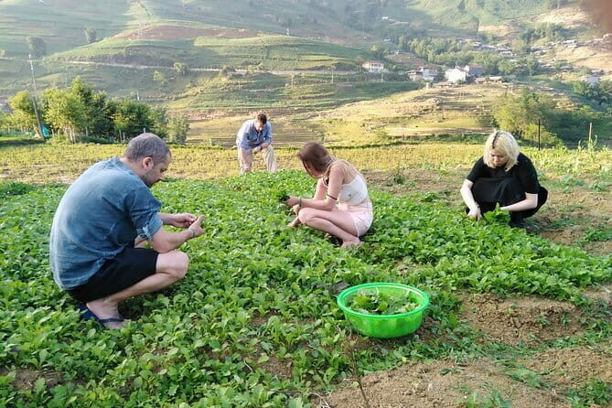 3-Days Sapa Trekking With Local Guide Overnight in Tavan Village - What Makes This Tour Stand Out?