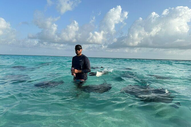 3 Hour Jet ski Adventure Swim with Rays and More - Authentic Experiences in Action