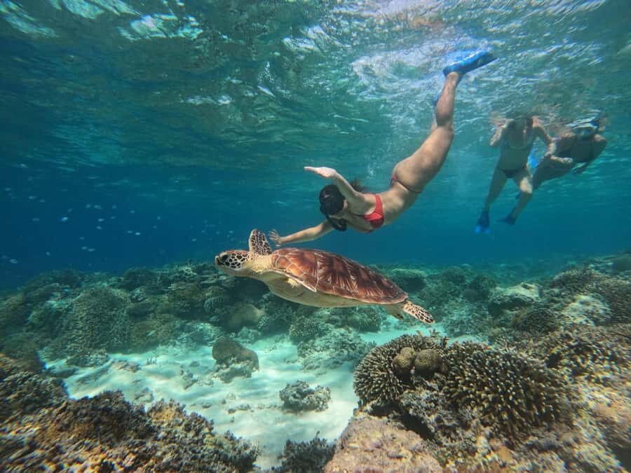 3 Islands Snorkeling with Glass Bottom Boat & GOPRO SHOOT - Guides and Equipment
