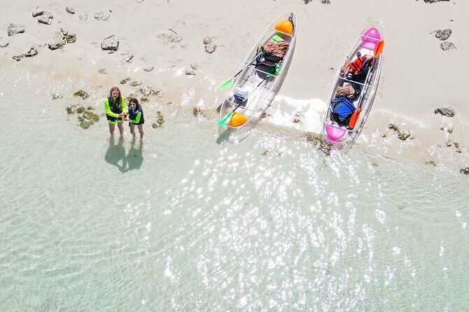3HR Clear Kayak Mangrove and iguana island Tour in Leeward - The Itinerary in Detail