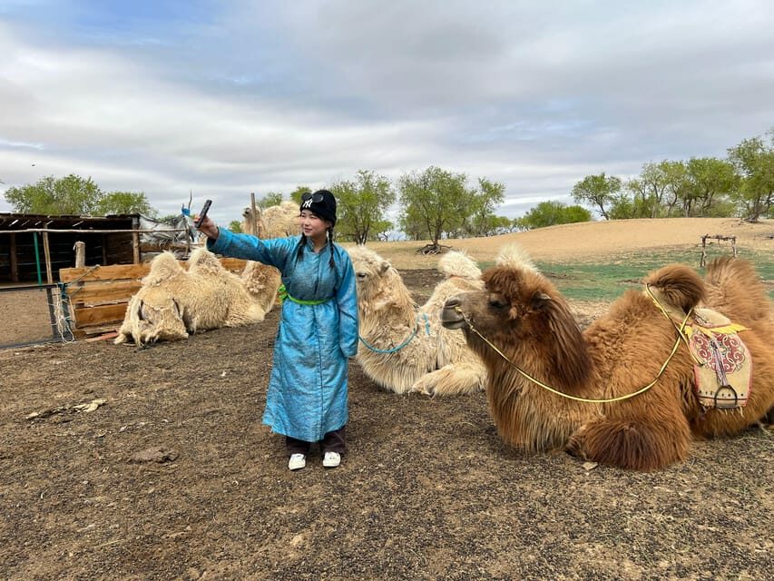 4 Day Best of Central Mongolia tour, Chinggis Khan statue - What’s Included and What’s Not
