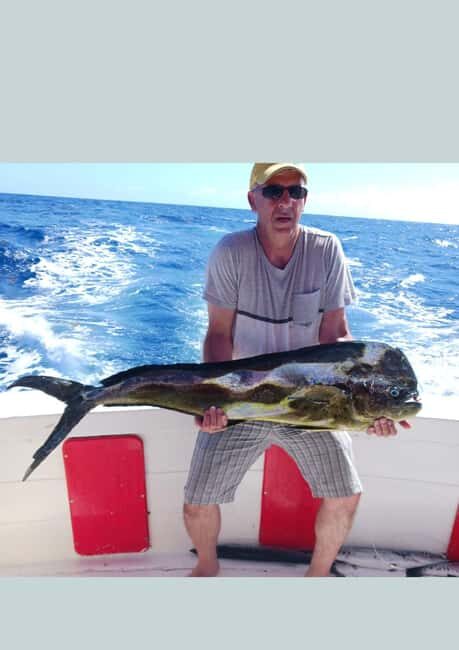 4 hour deep sea fishing experience from punta cana - Authentic Reviews and Real Insights