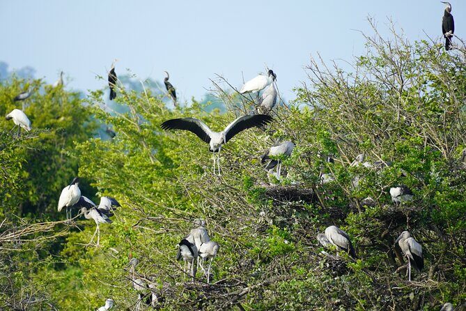 4 Hours Private Yala Safari Day Tour - The pros and cons of this tour