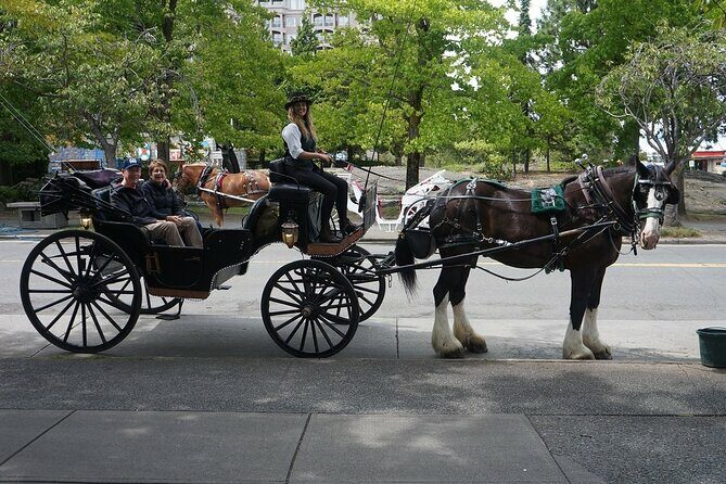45-Minute By The Park Tour - What is the 45-Minute By The Park Tour?