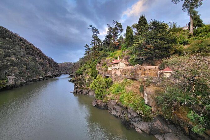 6-Days Discovery Tour of Tasmania - Comfort Style - Who Is This Tour Best For?