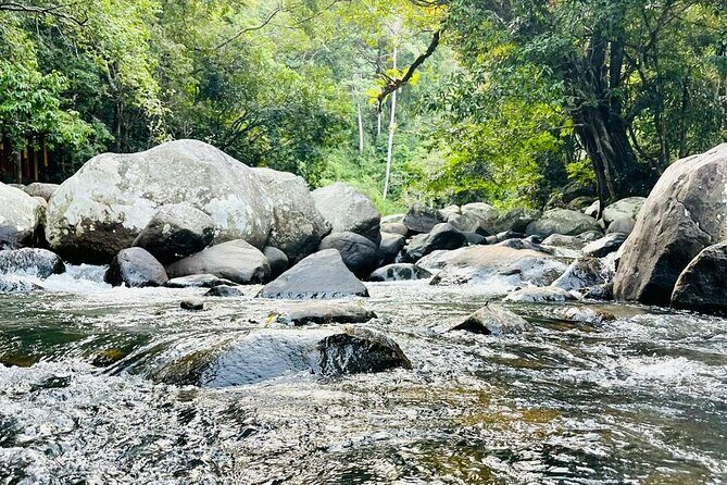 6Days Hill country Private Tour in Sri Lanka - What the Tour Means for You