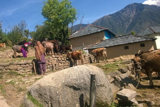 7 Days Dharamsala - Dalai Lama home Trek - Key Points
