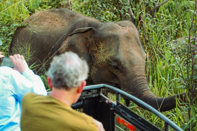 8 Day Private Sri Lanka Tour with Chauffeur - How Does the Tour Deliver Value?