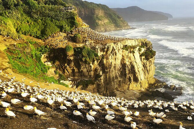 9 Day South to North Island NZ Private Tour from Queenstown - Who Should Consider This Tour?