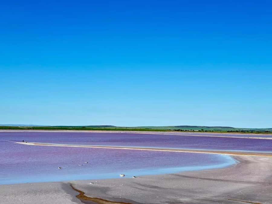 Adelaide Highlights: Wine, Whispering Wall & Pink Lake Tour - First Stop: Penfolds Magill Estate