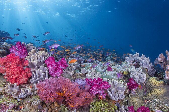 Adventures of the Lost Atlantis Bimini Road - Final Thoughts: Is It Worth It?