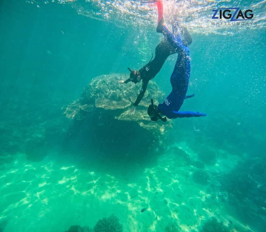 Airlie Beach: Whitehaven Beach Day Tour with Snorkel Option - What Makes This Tour Stand Out