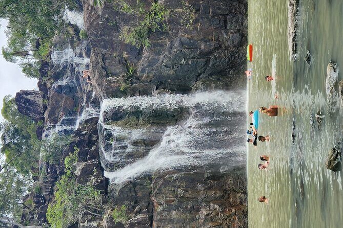Airlie Waterfalls & Rainforest Bushwalk Eco Adventure - Transportation and Timing