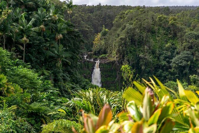 Akaka Falls Tour - Volcanoes National Park and Hilo Discovery - Who Should Consider This Tour?
