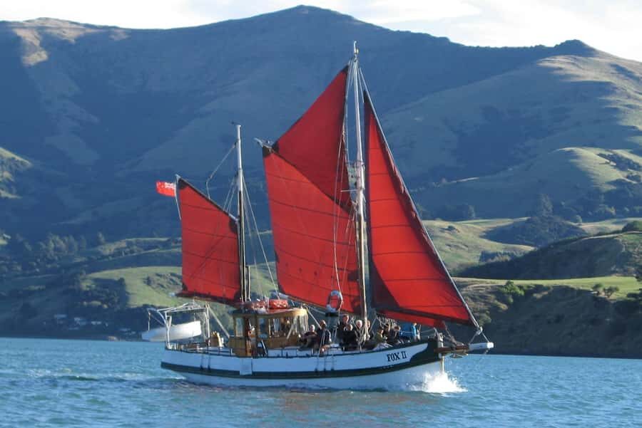 Akaroa: Wildlife Cruise with Dolphins and Penguins - Who Should Consider This Tour?