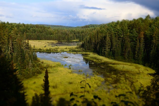 Algonquin Group Camping Adventure (3 Day) - What Makes This Tour Stand Out?