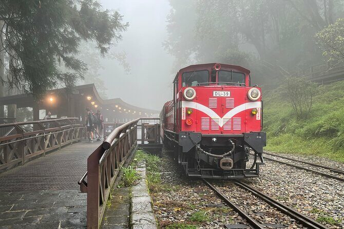 Alishan Day Tour from Chiayi (Incl. Park Entrance) - Analyzing the Price and Value