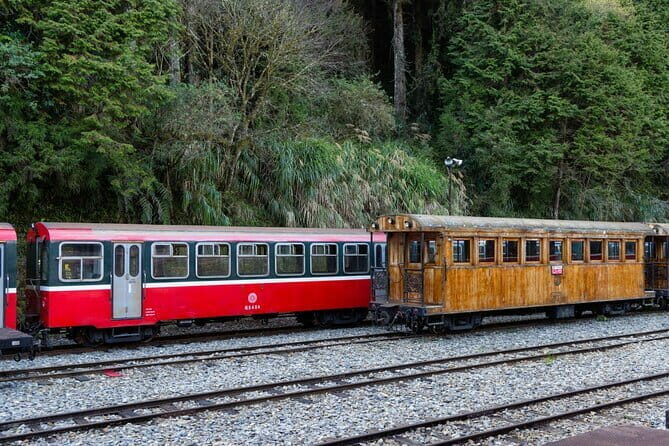 Alishan Join In Day Tour from Taichung (Incl. Park Entrance) - Authentic Insights from the Reviews