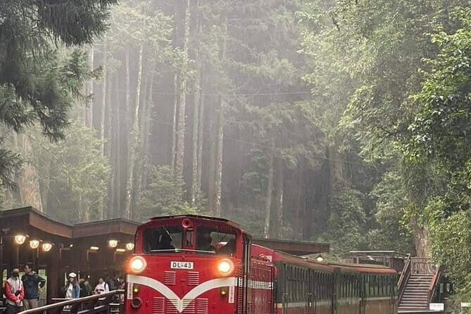 Alishan One Day Tour from Taichung - The Cost and Its Value for Money