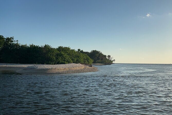 All-inclusive 6-person Manatee Swim Tour with Free Photos - The Itinerary: What to Expect