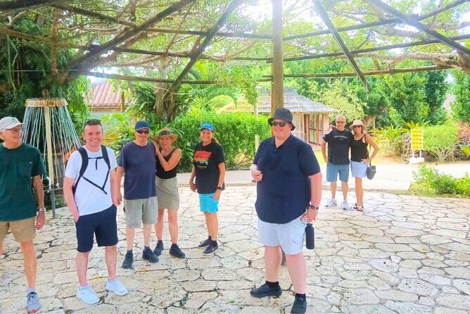 All-Inclusive Ishigaki Island Shore Excursion with English Guide - Transportation and Group Dynamics
