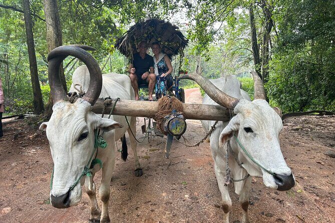 All of Sri Lanka within 10 Days - What Travelers Say