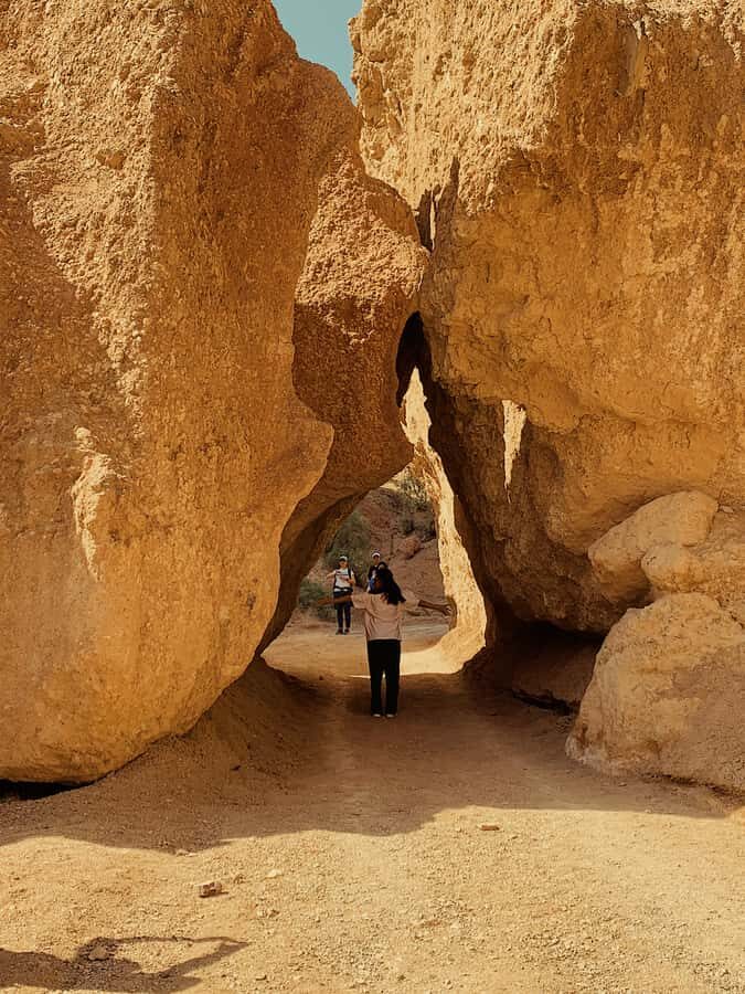 Almaty: Charyn, Kolsay Lake, & Moon Canyon Private Tour - The Value of This Tour