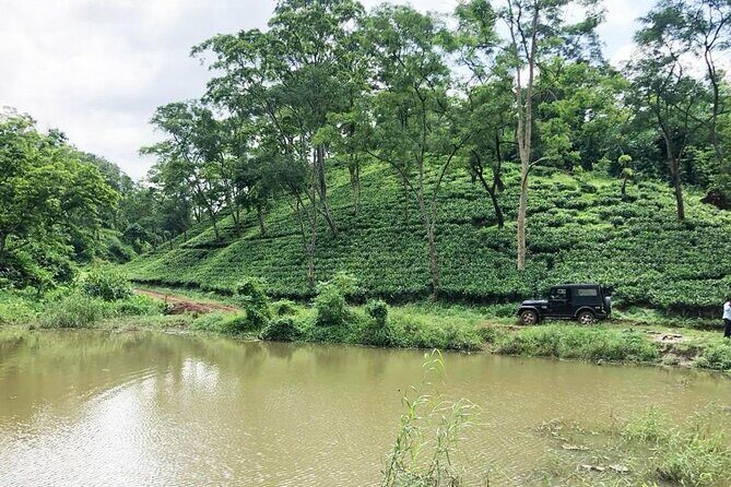 Amchong Tea Estate + Factory Visit (with Hi-tea only) - Who Would Love This Tour?
