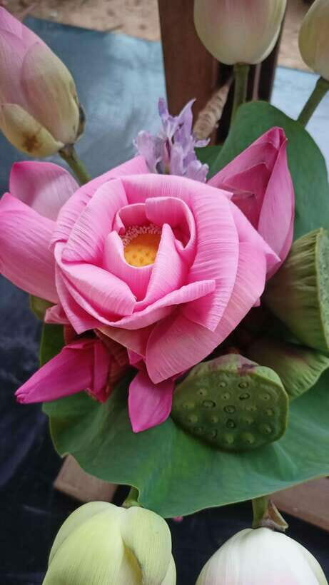 Angkor Silk Farm & Lotus Silk Farm: Siem Reap Discovery Tour - What Makes This Tour Stand Out?