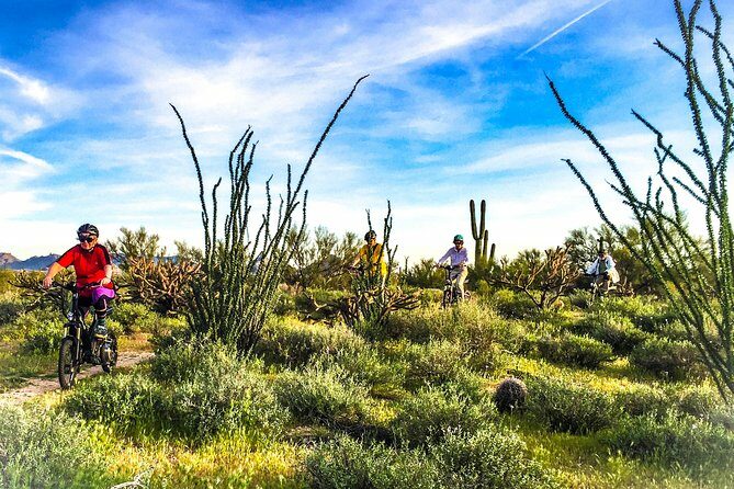 Arizona Desert Guided E-Bike Adventure - Group Size and Experience