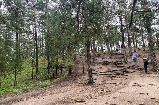 Astana: Burabay Oasis National Park Unforgettable Adventure - Transportation, Comfort, and Practicalities