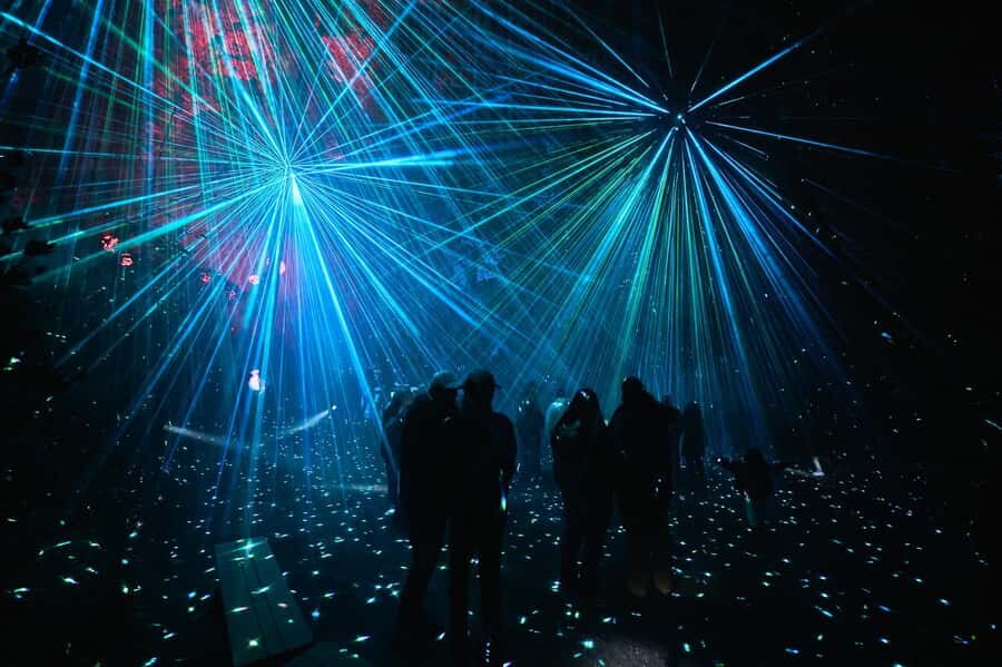 Astra Lumina Entry at Currumbin Wildlife Sanctuary - What to Expect from Your Night Walk