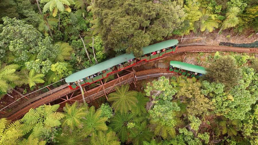 Auckland: Coromandel Driving Creek & Cathedral Cove Day Tour - The Experience in Detail