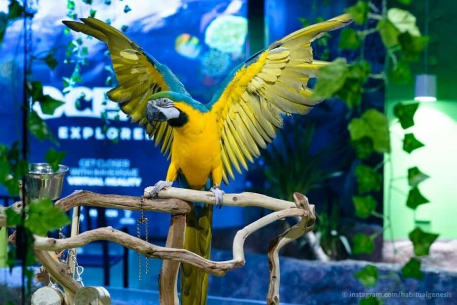 Austin Aquarium Entry Ticket - The Sum Up: Is It Worth It?